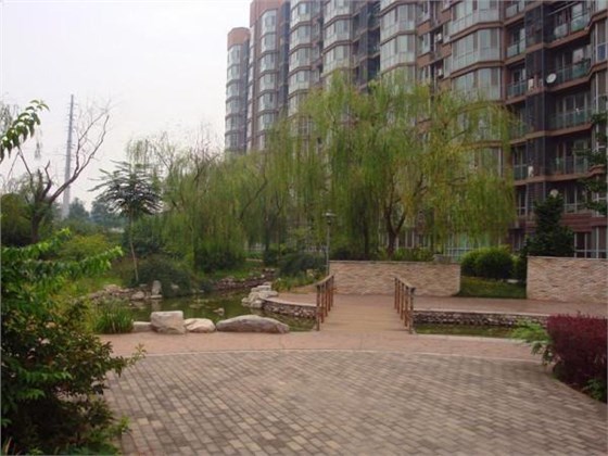 捕鼠器批發廠家分享應對小區鼠害的方法
