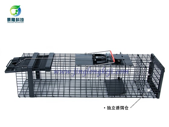 治理鴿舍黃鼠狼捕捉籠的使用步驟
