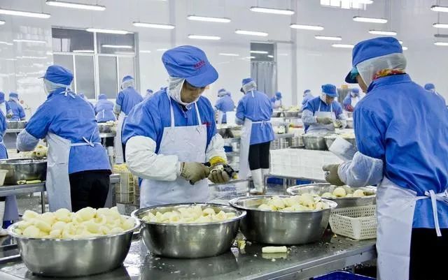 滄州滅鼠器廠家：食品廠如何做好蟲鼠害防制