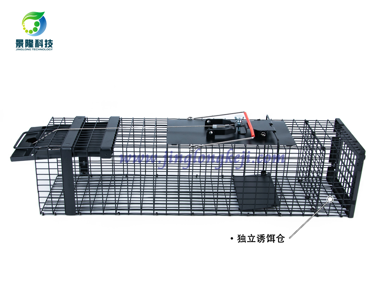 治理鴿舍黃鼠狼捕捉籠的使用步驟
